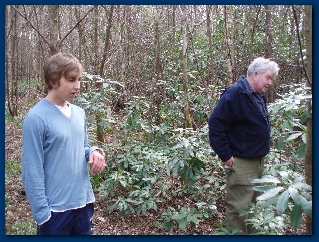 600x449 pixels (195K)